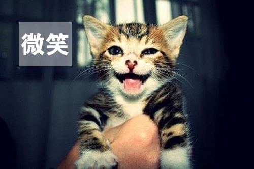 用心感受世界，因活著而幸福(圖1)