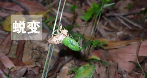 用心感受世界，因活著而幸福(圖4)