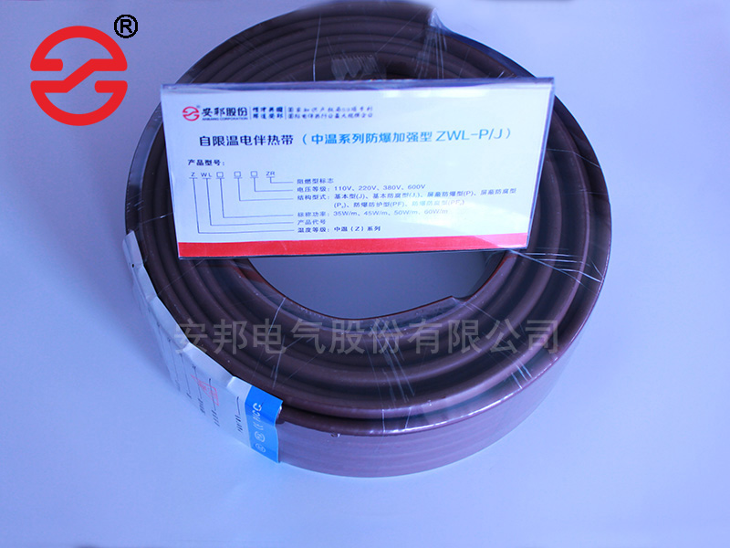 測(cè)量?jī)x器電伴熱帶