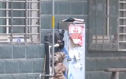 自來水管道保溫電伴熱帶，冬季管道防凍新寵(圖2)